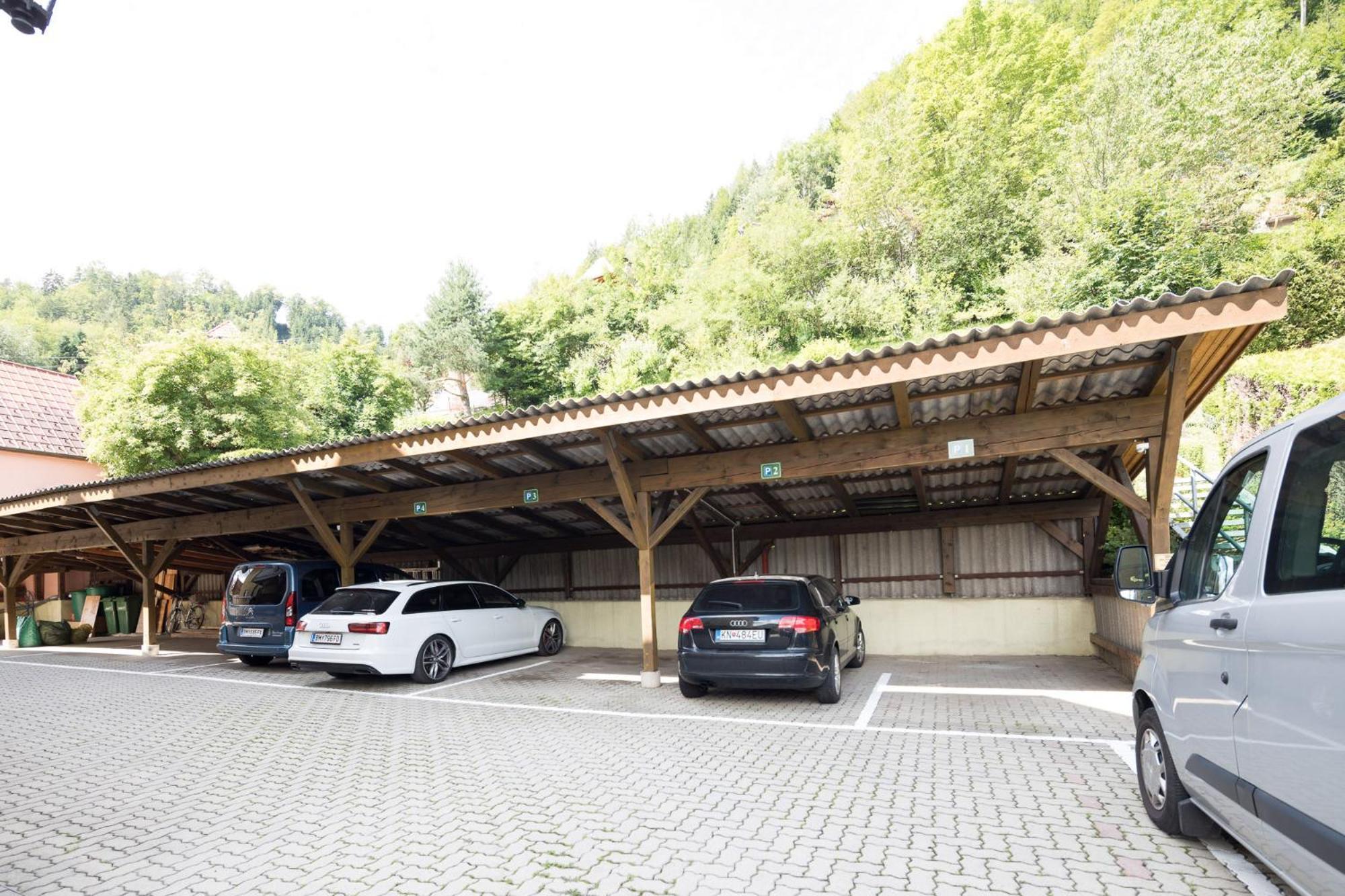 Villa Ganzstein Mürzzuschlag Dış mekan fotoğraf